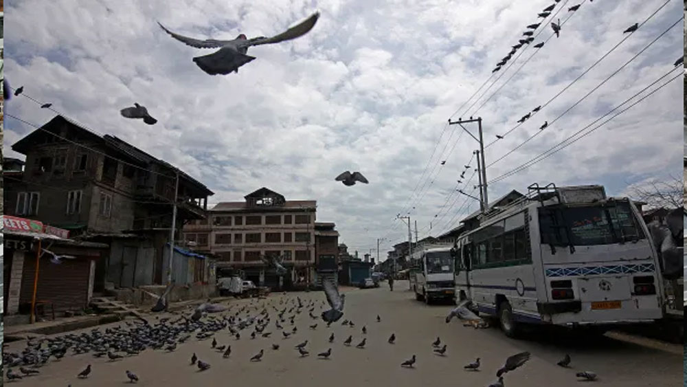পশুপাখি তাই বহাল তবিয়তেই ঘুরে বেড়াচ্ছে আর মানুষ হয়ে পড়েছে ‘খাঁচাবন্দি’। ছবিটা পাল্টে গিয়েছে অনেকটাই।
