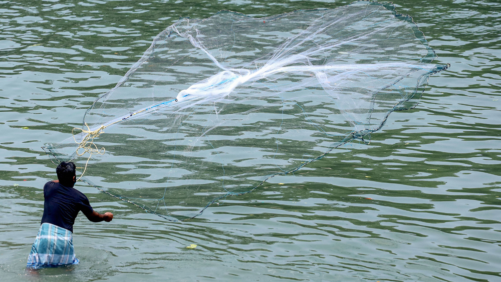 মাছ ধরার ক্ষেত্রেও তুলে নেওয়া হচ্ছে লকডাউনের নিয়ম। জানানো হয়েছে, সমুদ্রে বা নদী-পুকুরে মাছ ধরায় কোনও বাধা থাকছে না। মাছ চাষের ক্ষেত্রেও আর কোনও বিধিনিষেধ থাকছে না।