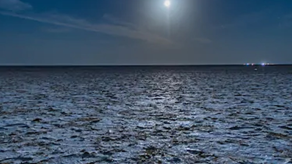 ত্রয়োদশ শতকে এই জনপদ ছিল সিন্ধ প্রদেশের অংশ। সে সময় স্থানীয় শাসক ছিলেন রাও লাখা। তাঁর নামেই জনপদের নামকরণ, ‘লখপত’। ইতিহাসে লখপত একটি নামী ও সমৃদ্ধশালী বন্দর। এই বন্দর থেকে সুদূর পশ্চিমে ব্যবসা বাণিজ্য চলত। কৃষিকাজেও সমৃদ্ধ ছিল এই শহর।