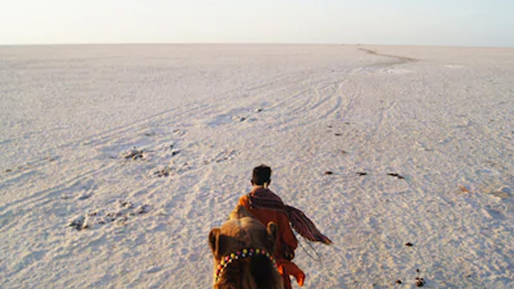 কিন্তু সুখের সময় বেশি দিন স্থায়ী হল না লখপতের কপালে। ১৮১৯ খ্রিস্টাব্দে বিধ্বংসী ভূমিকম্পের ফলে অনেকটাই সরে গেল সিন্ধু নদের গতিপথ। ফলে কৃষি ও ব্যবসা, দু’দিকেই নিজের গুরুত্ব হারাল লখপত। ক্রমশ কমতে লাগল জনসংখ্যা। ১৮৮০ খ্রিস্টাব্দে লখপতের জনসংখ্যা এসে ঠেকল মাত্র আড়াই হাজারে।