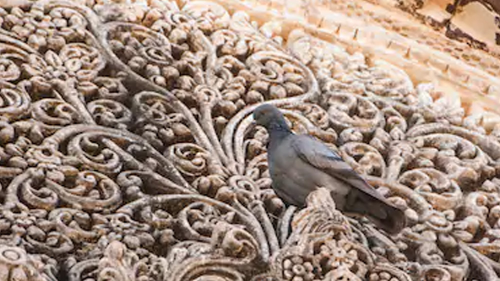 অতীতে সমৃদ্ধির কেন্দ্র লখপত পরিণত হল পরিত্যক্ত ভৌতিক জনপদে। স্থানীয় বাসিন্দাদের বিশ্বাস, ভূমিকম্পে যাঁরা প্রাণ হারিয়েছিলেন, তাঁদের অতৃপ্ত আত্মা এখনও এই শহরের মায়া কাটাতে পারেনি।