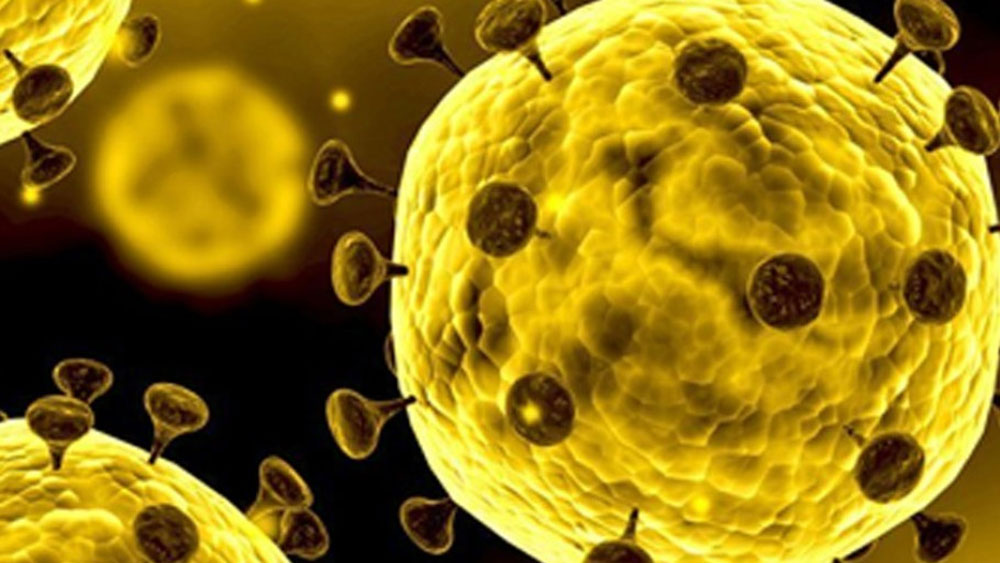 Coronavirus in India: People self locked themselves in houses in fear of getting infected