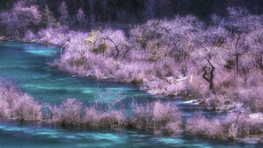 নরক দর্শনের ইচ্ছা প্রায় কারও নেই। কিন্তু স্বর্গ ঘুরে দেখার প্রস্তাবে সকলেই রাজি। কিন্তু স্বর্গের ঠিকানা জানা আছে কি? না জানা থাকলে এখানেই জেনে নিন। আপনাদের জন্যই ঠিকানা দেওয়া হল ‘স্বর্গ’র।