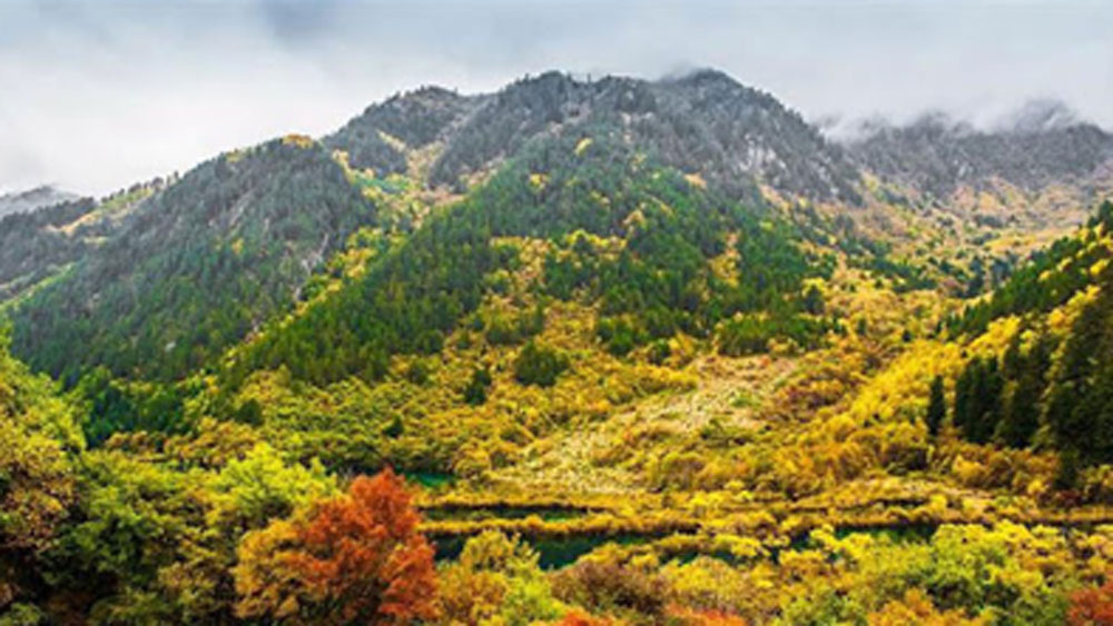 এই স্বর্গ রয়েছে এই পৃথিবীতেই। সিচুয়াং প্রদেশের উত্তর দিকে। তার নাম জিওজাইগো ভ্যালি। অসামান্য প্রাকতিক সৌন্দর্যের জন্য একে পথিবীর স্বর্গও বলা হয়।