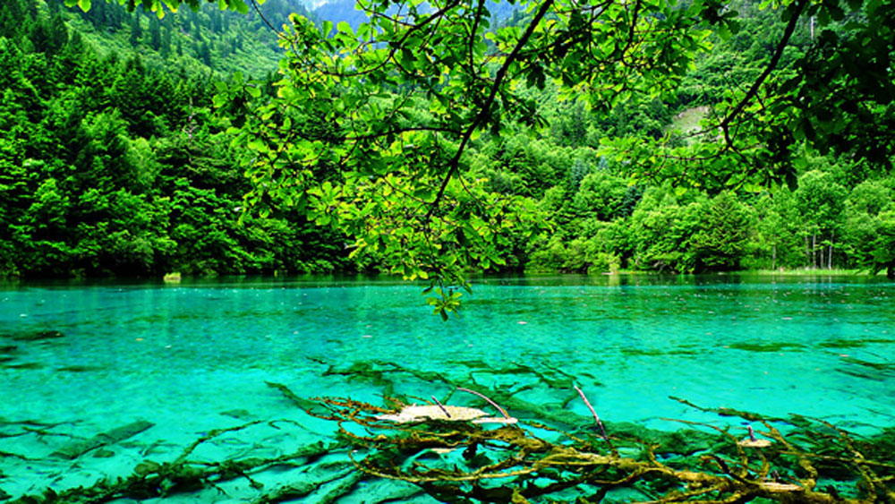 প্রতি বছরই পর্যটকদের সংখ্যা বাড়তে শুরু করে। যেমন ১৯৮৪ সালে পর্যটকের সংখ্যা ছিল মাত্র পাঁচ হাজার। ১৯৯১ সালে সেটা দাঁড়ায় ওক লক্ষ ৭০ হাজারে। ১৯৯৭ সালে আরও বেড়ে গিয়ে সংখ্যাটা দাঁড়ায় দুই লক্ষে।