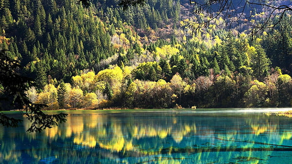 যে নয়টা গ্রাম নিয়ে গড়ে উঠেছিল এই উপত্যকা, তার মধ্যে ৭টা গ্রামে এখনও বসতি রয়েছে। সব মিলিয়ে মোটামুটি এক হাজার মানুষের বাস এই উপত্যকায়।