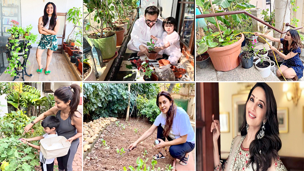 Coronavirus Lockdown: Ways Bollywood Celebs spend their leisure during Lockdown days