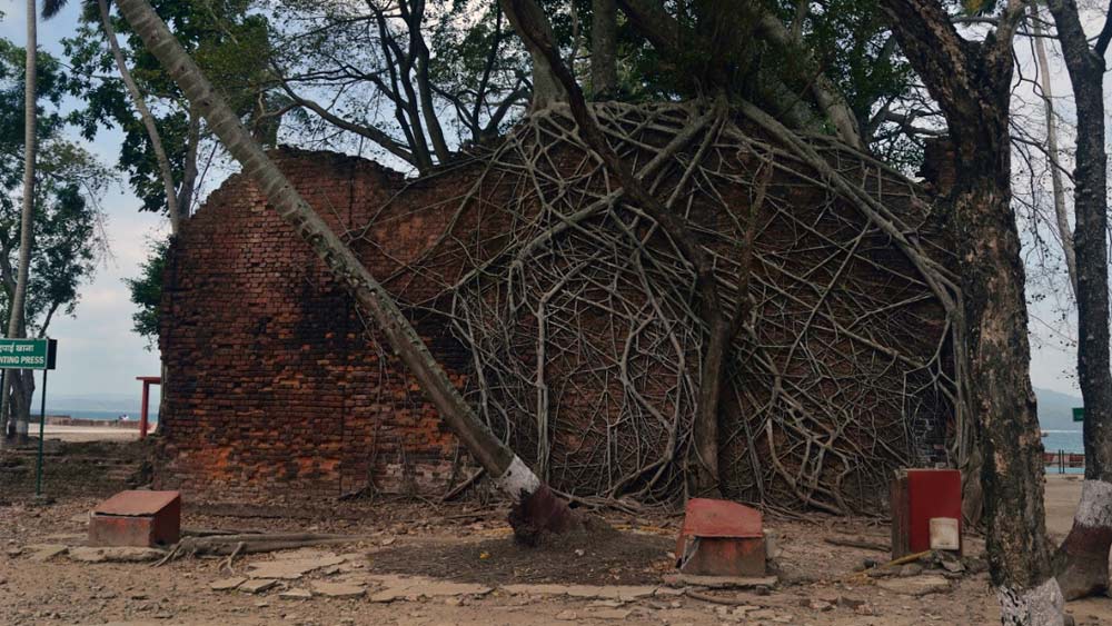 তার চারদিন পরে কলকাতা থেকে আন্দামানে পা রাখেন আরও ২০০ বন্দি। তাঁরা ছিলেন মূলত সিপাহি বিদ্রোহ এবং ওয়াহাবি আন্দোলনের প্রতিবাদীরা। জেলর প্যাচারসেনর নির্দেশে তাঁদের পাঠানো হল রস দ্বীপে। নির্মম অত্যাচারের মধ্যে তাঁদের লাগানো হল বন কেটে বসতি তৈরির কাজে। নিজেদের থাকার ছাউনি থেকে সাহেবদের বাংলো, তৈরি হতে লাগল অনাহারী বন্দিদের শ্রমে।