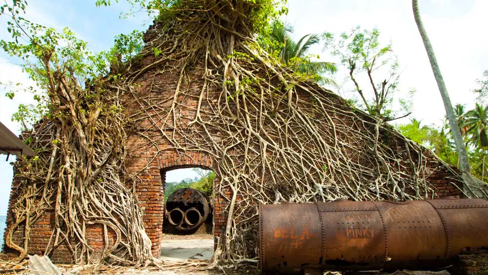 অতীতের প্রাণস্পন্দনের সব চিহ্নকে নিয়ে প্রাণহীন হয়ে পড়ে আছে এই দ্বীপ। বলা হয়, অতীতের বন্দিদের আত্মা এখনও ঘুরে বেড়ায় পরিত্যক্ত জনপদের আনাচে কানাচে। (ছবি: নিজস্ব চিত্র এবং শাটারস্টক)