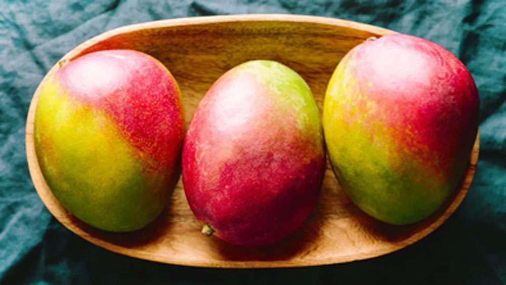 হর্টিকালচার কলেজ অ্যান্ড রিসার্চ ইনস্টিটিউট এই প্রজাতিকে বিলুপ্ত ঘোষণার পর থেকেই নতুন করে এই আমের প্রজাতি ফিরিয়ে আনার জেদ চেপে বসে তাঁর মনে।