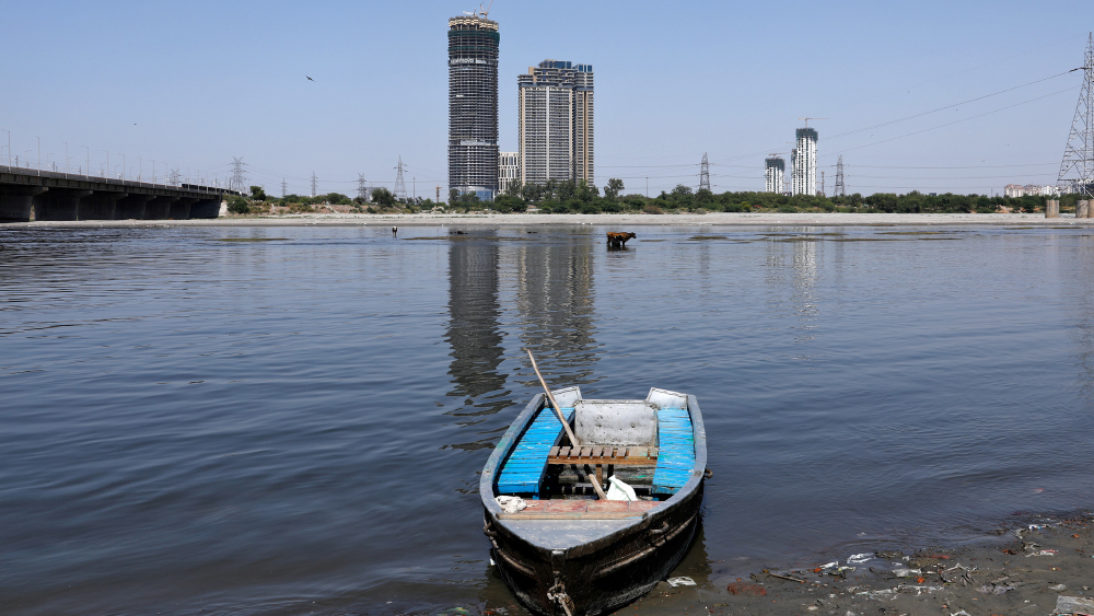 এখন দূষণ নেই। উধাও বিষাক্ত ফোম-ও। যমুনার জল কার্যত কাকচক্ষু এখন।