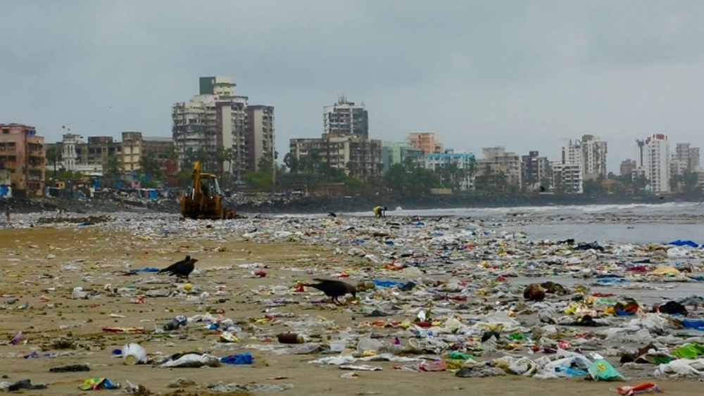 মুম্বইয়ের তালাওয়ে জলাজমি আগে ছিল বদ্ধ ও পরিত্যক্ত।