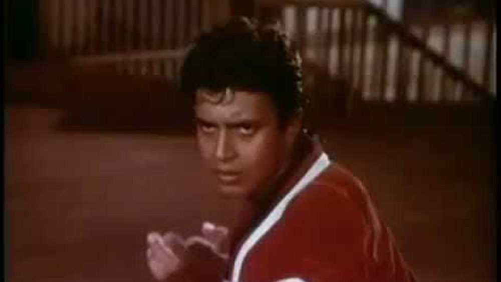 এই ফিল্মটাই মিঠুনকে স্টার়ডমের শীর্ষে পৌঁছে দিয়েছিল। এই ফিল্ম করে ভারতের বাইরে, বিশেষ করে রাশিয়া এবং কাজাখস্তানেও তুমুল জনপ্রিয় হয়ে ওঠেন তিনি।