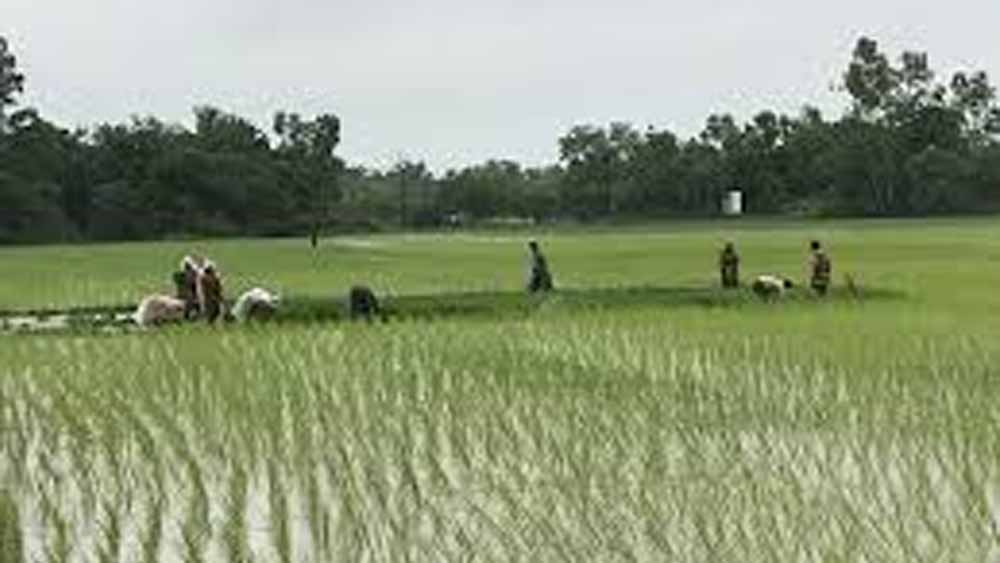 হলদিয়ার রাজনগর গ্রামের বাড় উত্তর হিংলি, চকদৈপা, দেউলপোতা এলাকাগুলির একাংশ এবং হলদিয়া পুরসভার ১৬ নম্বর ওয়ার্ডের একাংশ অতিস্পর্শকাতর হিসেবে চিহ্নিত করেছে প্রশাসন।