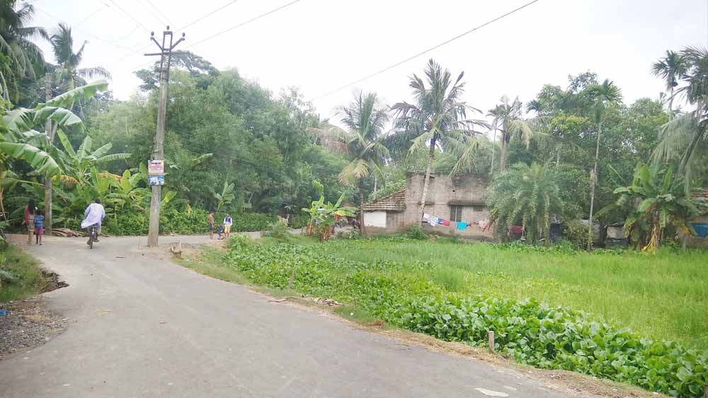 শহীদ মাতঙ্গিনীর বল্লুক ও সবলারা গ্রামের কিছু অংশকে অতিস্পর্শকাতর এলাকা হিসেবে চিহ্নিত করা হয়েছে। এর মধ্যে রয়েছে, বল্লুক-১ ও ২ এলাকা। এছাড়া শান্তিপুর-২, রঘুনাথপুর-২ ও ৩ কালহারদা, খারুই-২ এলাকাগুলির কিছু অংশ এবং তমলুক ভিলা এলাকার নীলকুঠির একাংশ অতিস্পর্শকাতর হিসেবে চিহ্নিত হয়েছে।