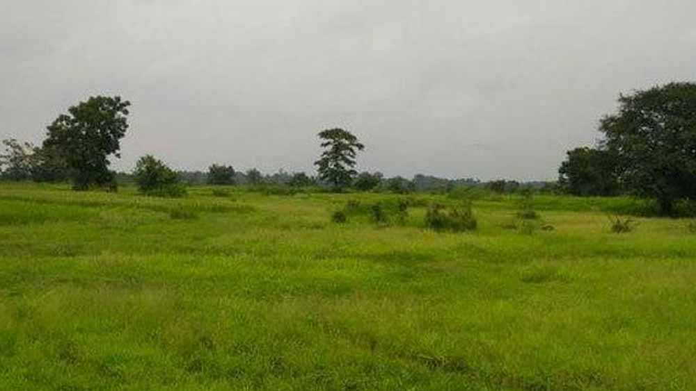 সুতাহাটায় বড়তালিয়ার চৈতন্যপুর, আসাদতালিয়ার কিছুটা অংশ এবং দেউলপোতা, চকদৈপা, দেভোগ গ্রামপঞ্চায়েতের একাংশ যা হলদিয়া ব্লকের মধ্যে পড়ছে, অতিস্পর্শকাতর চিহ্নিত করা হয়েছে। হলদিয়া পুরসভার ১ ও ২ নম্বর ওয়ার্ডের কিছুটা করে অংশও এই তালিকায় রয়েছে।