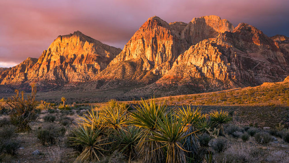 মোজেভ মরুভূমির অন্তর্গত লাস ভেগাস কী ভাবে জনশূন্য মরু অঞ্চল থেকে মেট্রোপলিটন শহরে পরিণত হল? কী ভাবে নেভাদার অর্থনীতির মূল ভিত্তি হয়ে উঠল?