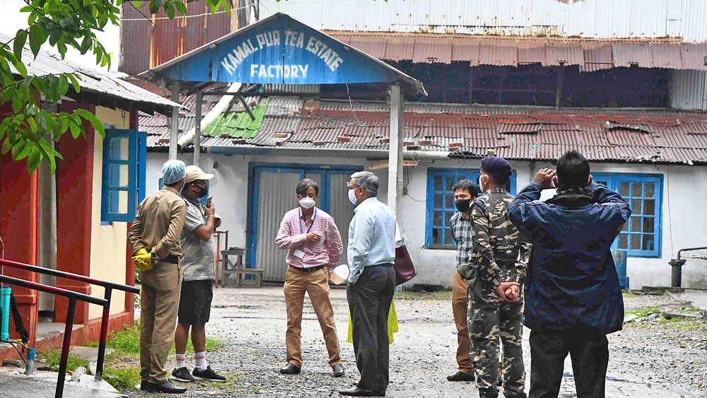 খোঁজ: কমলপুর চা বাগানে কেন্দ্রীয় দল। নিজস্ব চিত্র