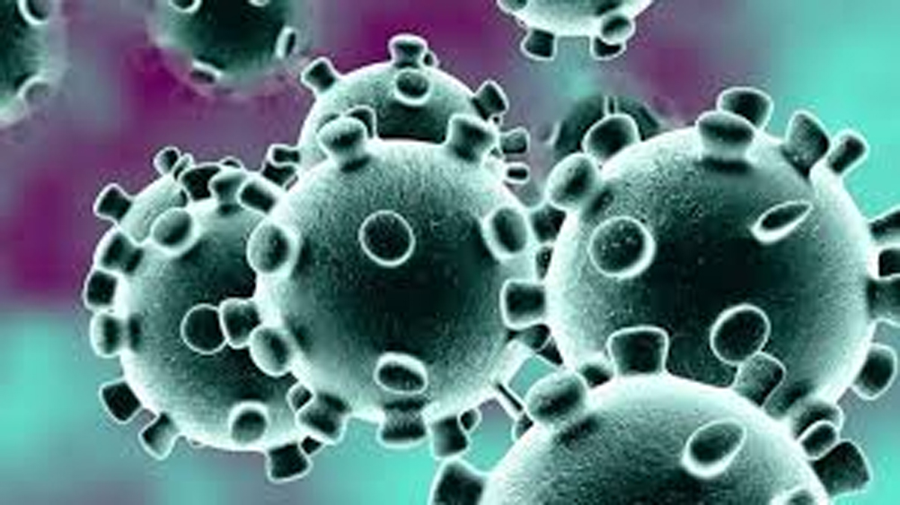 Coronavirus in India: Six more positive cases detected in North Bengal