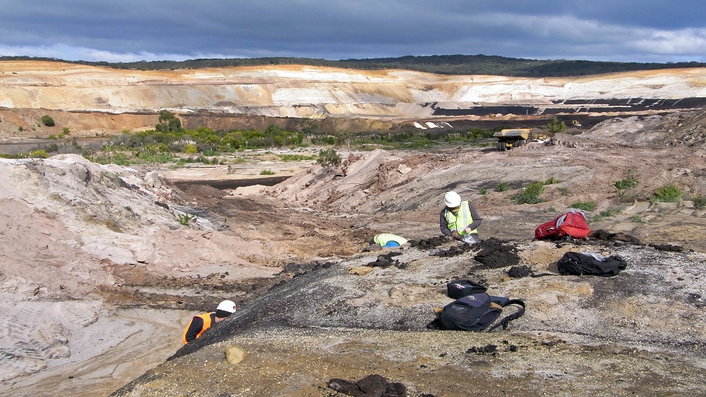 দক্ষিণ অস্ট্রেলিয়ার অটওয়ে অববাহিকায় গন্ডোয়ানা সুপারকন্টিনেন্টের দক্ষিণ অংশে জীবাশ্ম নিয়ে গবেষণার কাজে গিয়ে একটি স্ফটিকের মধ্যে এই মক্ষীযুগলকে আবিষ্কার করেছেন বিজ্ঞানীরা।