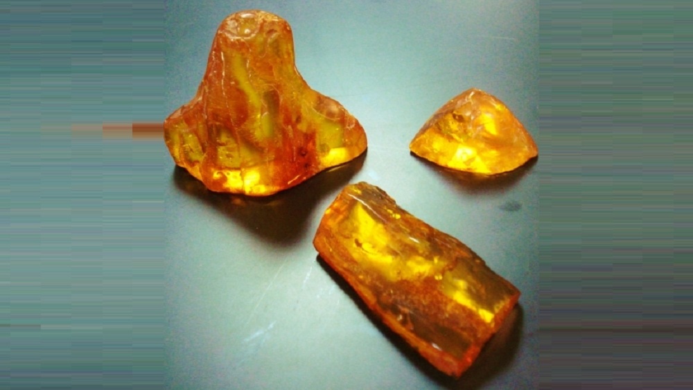 মেলবোর্নের মোনাশ বিশ্ববিদ্যালয়ের জীবাশ্মবিদ জেফ্রি স্টিলওয়েল জানিয়েছেন, গাছ থেকে রস বেরিয়ে তা  জমে স্ফটিক তৈরি হয়। প্রায় ৪ কোটি বছর আগে সে রকমই গাছের রসে আটকে যায় ওই মাছি দু’টি। তার উপর আরও রস জমে স্ফটিকটি বড় আকার ধারণ করে। যার ফলে স্ফটিকের মধ্যে মাছি দু’টি অবিকৃত অবস্থায় রয়ে গিয়েছে।