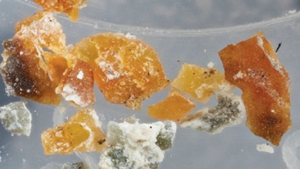 তবে এই বিশেষ স্ফটিক জীবাশ্মটি ছাড়াও পশ্চিম তাসমানিয়ার ম্যাকোয়ারি, অ্যাঙ্গলসি এবং ভিক্টোরিয়া থেকেও সব মিলিয়ে ৫ হাজার ৮০০ স্ফটিক জীবাশ্ম উদ্ধার করেছেন স্টিলওয়েল এবং তাঁর  সঙ্গীসাথীরা।