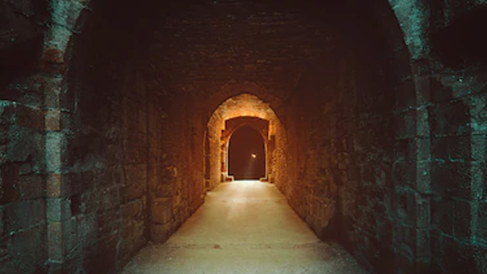 শৈশবেই বাবা-মায়ের বিচ্ছেদ দেখেছিলেন শোভরাজ। তার মা নতুন সংসার বেঁধেছিলেন ফরাসি প্রেমিকের সঙ্গে। ফরাসি সেনাবাহিনীর সেই লেফটেন্যান্ট দত্তকও নিয়েছিলেন শোভরাজকে। কিন্তু নতুন পরিবারে মানিয়ে নিতে পারেনি শোভরাজ। তার মায়ের পরে আরও সন্তান হয়। এর পরে পরিবার থেকে বিচ্ছিন্নই হয়ে পড়ে শোভরাজ।