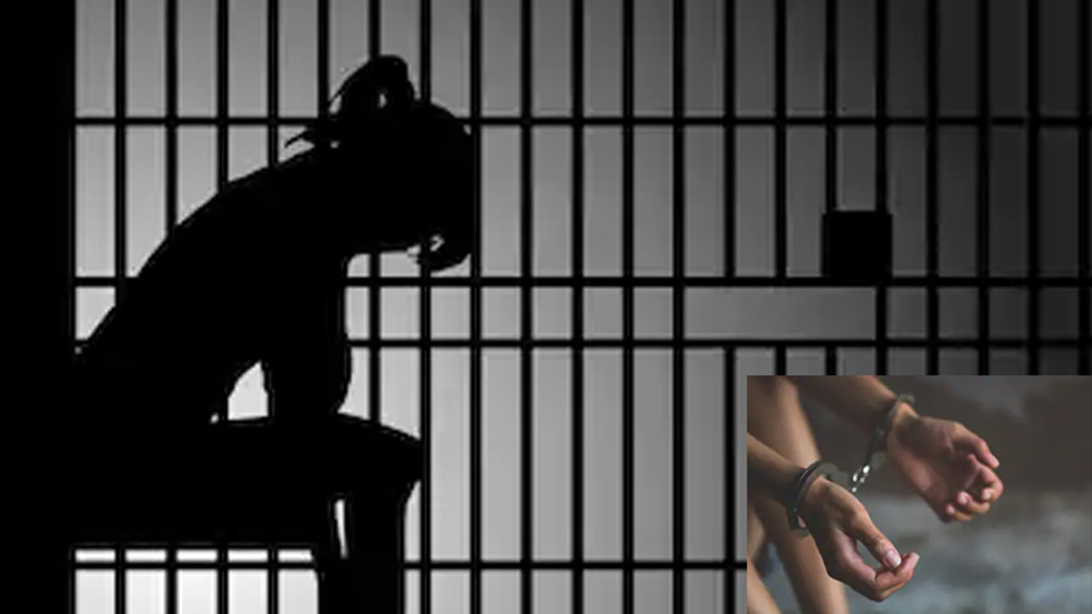 ১৯৯৬ সালে মোহন-প্রতিমার ছোট মেয়েকে অপহরণের জন্য ছক কষে অঞ্জনা ও তার দুই মেয়ে। কিন্তু এ বার সতর্ক থেকে তাদের পুলিশের হাতে তুলে দেয় মোহনের দ্বিতীয় স্ত্রী প্রতিমা। পুলিশি জেরায় প্রকাশিত হয় মা ও তার দুই মেয়ের জঘন্য অপরাধ।