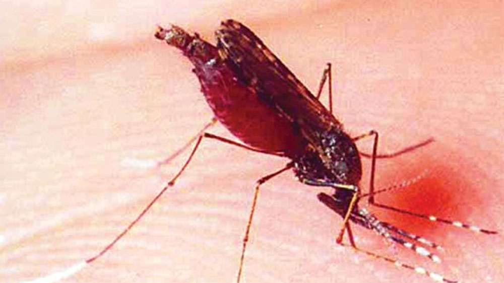 Besides Dengue, A person died of malaria at Alipurduar District Hospital