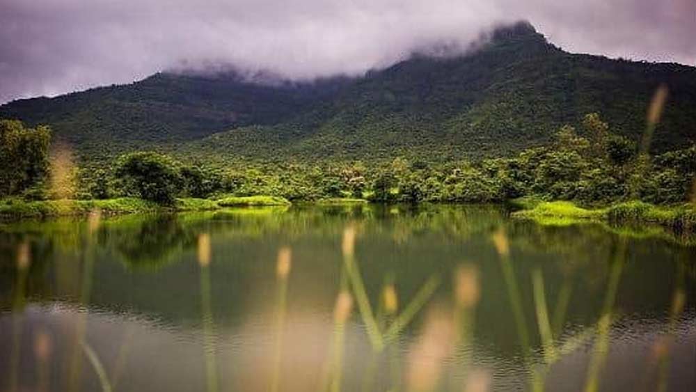 তবে এই বিলাসবহুল বাড়ি নিয়ে সলমনকে আইনি জটিলতাতেও পড়তে হয়েছে। পানভেল পশ্চিমঘাট পর্বতমালার ঘন অরণ্য ঘেরা অঞ্চল। মহারাষ্ট্রের বন দফতর অভিযোগ করে, এই খামারবাড়ির জন্য স্থানীয় স্পর্শকাতর ইকোসিস্টেম ক্ষতিগ্রস্ত হচ্ছে।