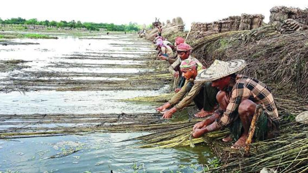 ছবি সংগৃহীত