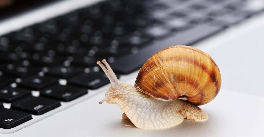 যদিও ওয়ার্ক ফ্রম হোম প্ল্যানটি আগেই নিয়ে এসেছিল জিয়ো। তবে সে ক্ষেত্রে পাওয়া যাচ্ছিল দু’জিবি হাই স্পিড ডেটা। আর সেই প্ল্যানের খরচ ছিল অনেক বেশি। সে তুলনায় এ প্ল্যানটি সস্তা।