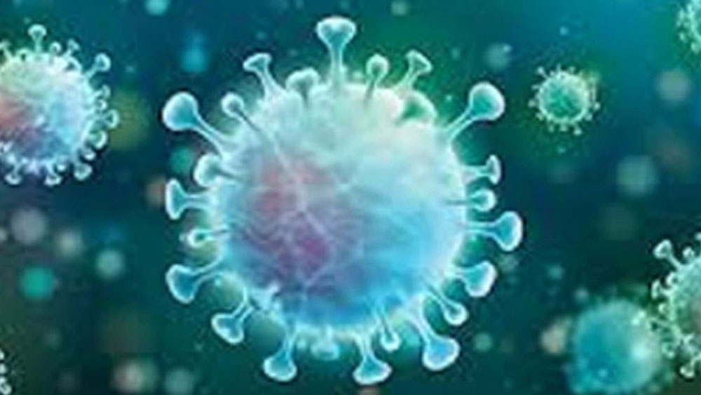 New Covid 19 positive Patient Found in Raiganj