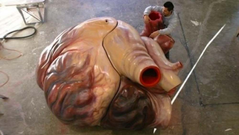 নীল তিমির হৃদ্‌পিণ্ড। বিশ্বের সর্ববৃহৎ স্তন্যপায়ী প্রাণী নীল তিমি। কিন্তু তাঁর হৃদ্‌পিণ্ডের কাছে পূর্ণবয়স্ক মানুষ কতটা ছোট তা দেখিয়ে দিচ্ছে উপরে ছবিটি।