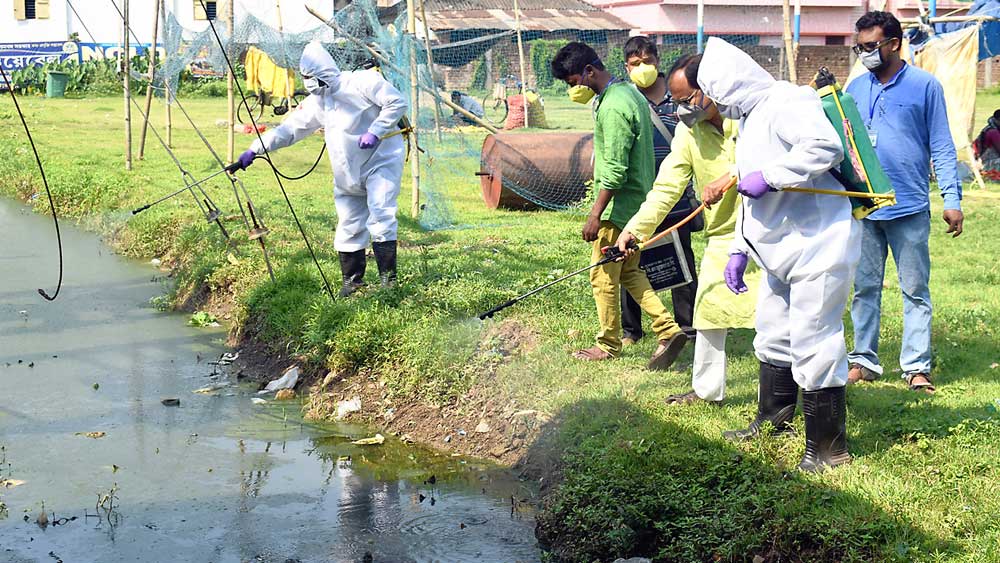 তৎপর: মশা-দমন। ঘাটালের ১৬ নম্বর ওয়ার্ডে। ছবি: কৌশিক সাঁতরা