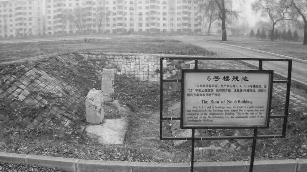 জাপানের অধীনে থাকা চিনের পিংফাঙে এই পরীক্ষাগার গড়ে তোলা হয়েছিল। শুধু পিংফাং-ই নয়, চিনের আরও বেশ কয়েকটি জায়গায় এই ধরনের ল্যাব গড়ে তুলেছিল জাপান। যেমন, লিঙ্কাওয়ে ইউনিট ১৬২, সুনবুতে ইউনিট ৬৭৩, মুডুংজিয়াং-এ ইউনিট ৬৪৩ এবং হেলরে ৫৪৩। দ্বিতীয় বিশ্বযুদ্ধের পর এইসব ল্যাবরেটরির উপর নিষেধাজ্ঞা জারি করা হয়।