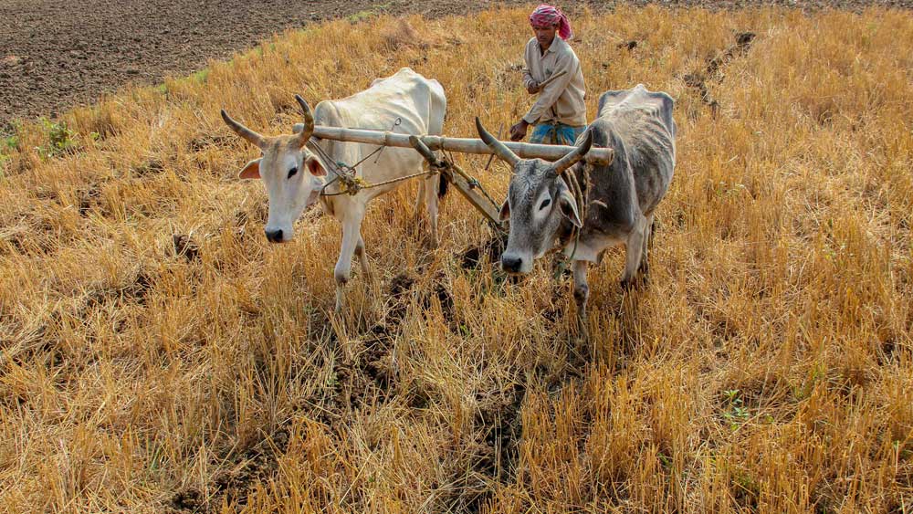 যে সব ঘোষণায় মোদী সরকারের এক পয়সাও অবদান নেই: 
• ক্ষুদ্র-ছোট-মাঝারি শিল্পকে ঋণ তহবিল ৩ লক্ষ কোটি টাকা।
• চাষিদের জরুরি প্রয়োজন মেটাতে ঋণ তহবিল ৭০,০০০ কোটি টাকা।
• কিষাণ ক্রেডিট কার্ডের মাধ্যমে ঋণ ২ লক্ষ কোটি টাকা।