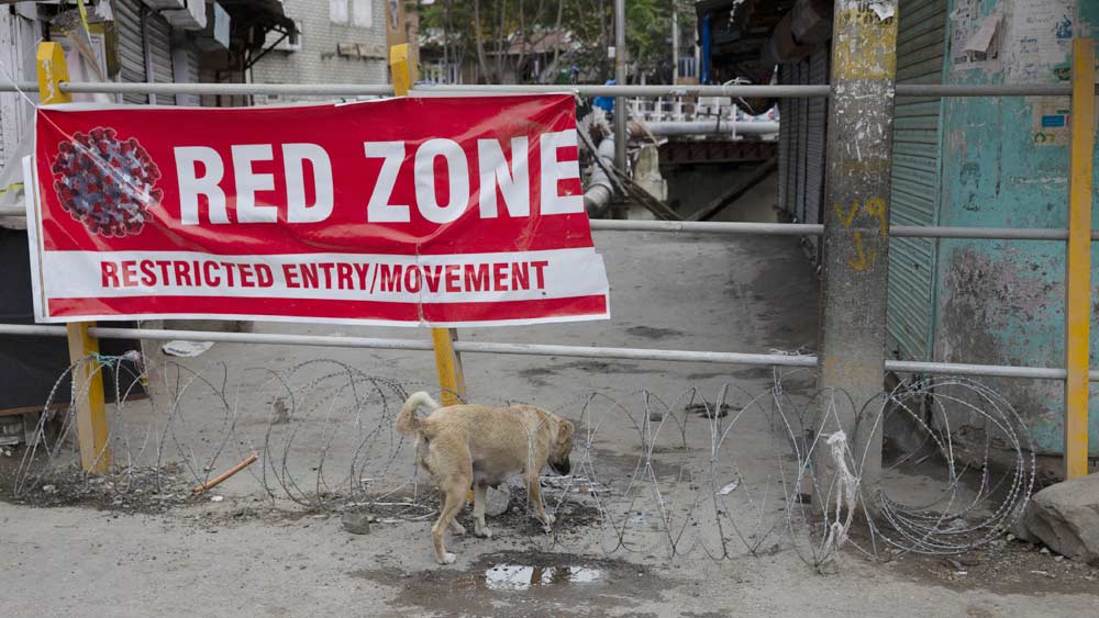 সন্ধ্যা সাতটা থেকে সকাল সাতটা পর্যন্ত দেশ জুড়ে গ্রিন, অরেঞ্জ, রেড এবং কন্টেনমেন্ট জোনে চলবে নৈশ কার্ফু। এর পাশাপাশি জোন বিশেষে কিছু কিছু পরিষেবায় ছাড় পাওয়া যাবে। তবে চার জোনেই ৬৫ বছরের বেশি বয়সি, অন্তঃসত্ত্বা এবং দশ বছরের কম বয়সি শিশুদের রাস্তায় বার না হওয়ার পরামর্শ দেওয়া হয়েছে।