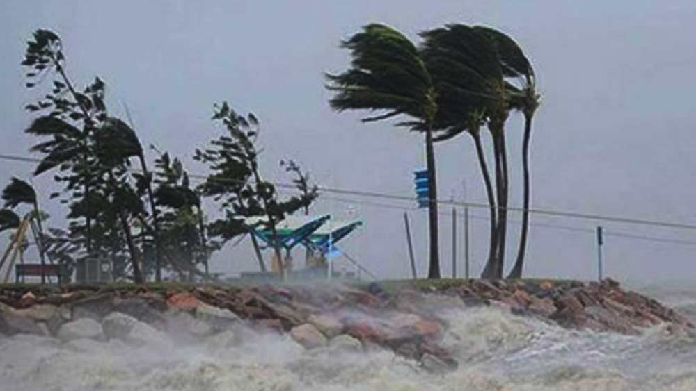 ঘূর্ণিঝড়ের প্রলয়ে আহত হন ৭,৫০৫ জন। মারা যায় বা নিখোঁজ হয়ে যায় তিন লক্ষের বেশি গবাদি পশু।