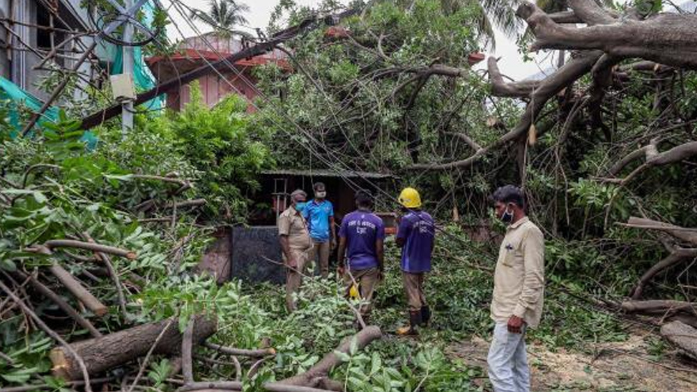 আবহবিদদের আশঙ্কা, আমপানের হামলা বেশি তীব্র হবে বাংলায়। স্থলভাগে প্রবেশের সময় উপকূলবর্তী এলাকায় ঘণ্টায় ১৬৫-১৭৫ কিলোমিটার বেগে ঝড় বইবে। ঝড়ের গতিবেগ স্বল্প সময়ের জন্য ঘণ্টায় ১৯৫ কিলোমিটার পর্যন্ত হতে পারে। ফলে বিদ্যুৎ সংযোগ বিচ্ছিন্ন হয়ে যাওয়ার আশঙ্কা তীব্র। তাই আগে থেকেই মোবাইলে যথেষ্ট পরিমাণে চার্জ দিয়ে রাখুন।  (ফাইল চিত্র)