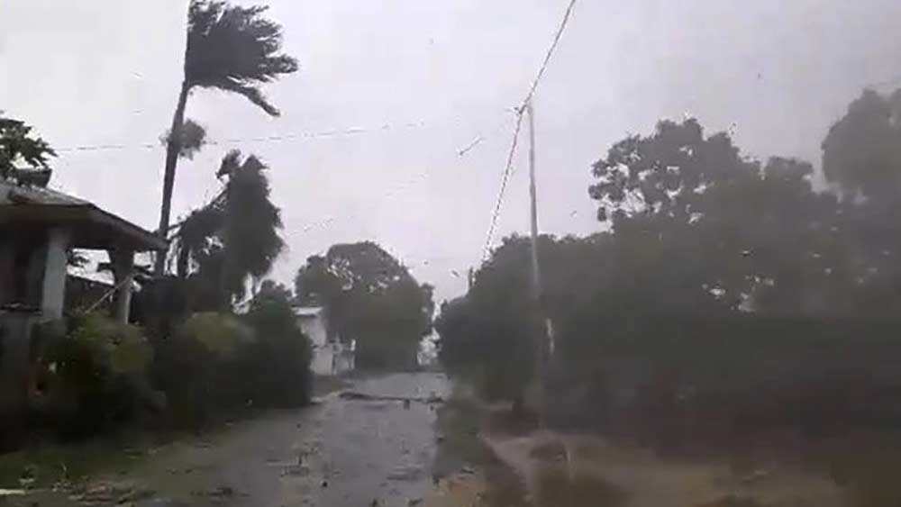 হুদহুদের মতো বুলবুল-ও পাখি। ‘ফণী’র অর্থ সাপ। ঘূ্র্ণিঝড় তিতলি-র নাম দিয়েছিল পাকিস্তান। তিতলি মানে, প্রজাপতি।  আর তাইল্যান্ডের দেওয়া নাম আমপান বা উম পুনের অর্থ, আকাশ। অর্থাৎ প্রকৃতির রুদ্ররূপের নামকরণ হয় প্রকৃতির বিভিন্ন অংশের নামেই।