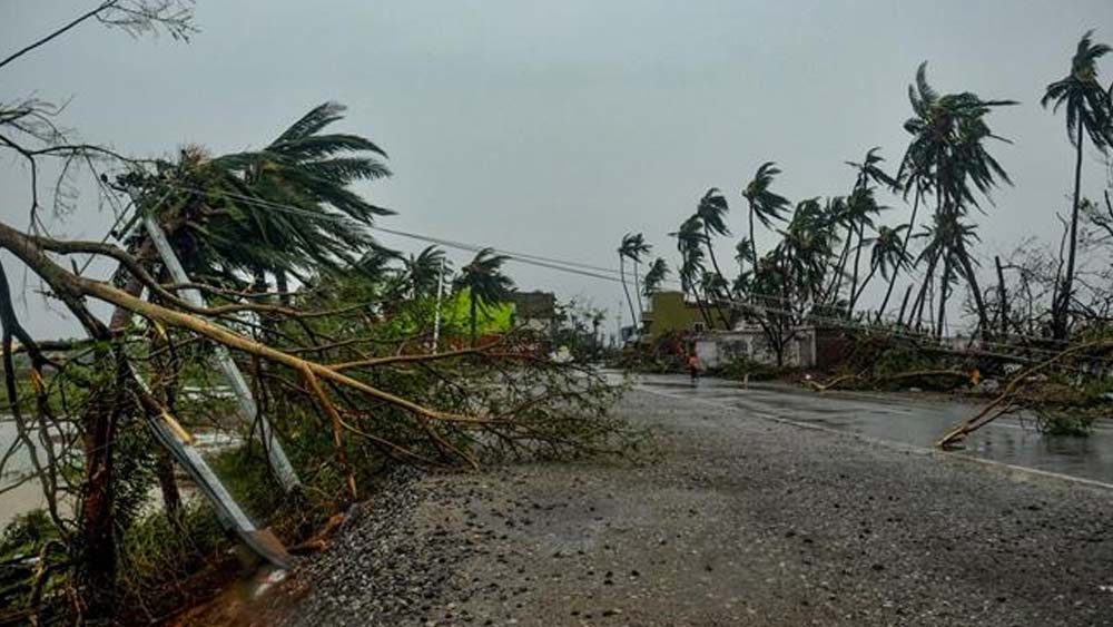 বাড়ির সব দরজা জানালা বন্ধ রাখুন।