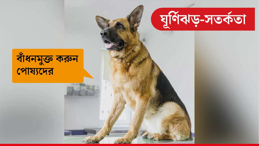 বাঁধনমুক্ত করুন পোষ্যদের। যাতে বিপদ বুঝলে ওরাও নিরাপদ স্থানে যেতে পারে।