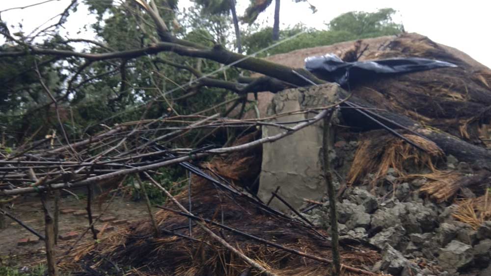 ঝড়ের দাপট সহ্য করতে না পেরে ভেঙে পড়েছে কাঁচা বাড়ি। উপড়ে গিয়েছে গাছও। তাণ্ডবের এই ছবি পাথরপ্রতিমার। দক্ষিণের মতো উত্তর ২৪ পরগনাতেও একই ছবি, জেলা প্রশাসন সূত্রে খবর, আমপানের তাণ্ডবে মিনাখাঁ, হিঙ্গলগঞ্জ, সন্দেশখালি, হাড়োয়া এলাকায় পাঁচ হাজারের বেশি মাটির বাড়ি ভেঙে পড়েছে।