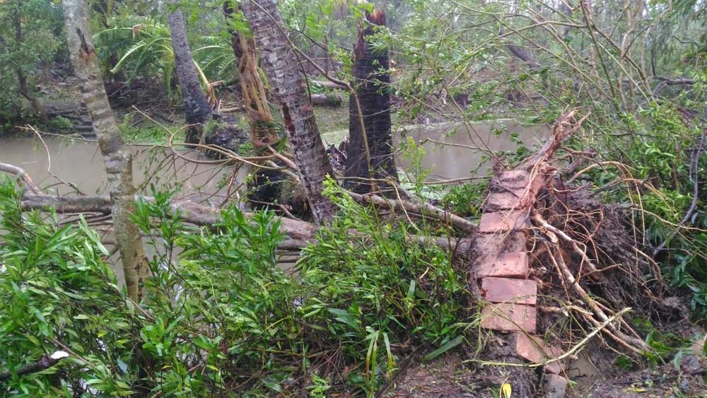 দক্ষিণ ২৪ পরগনার মথুরাপুরে আমপানের তেজে উপড়ে গিয়েছে গাছ। প্রশাসনের তরফে জারি করা হয়েছে চরম সতর্কতা।