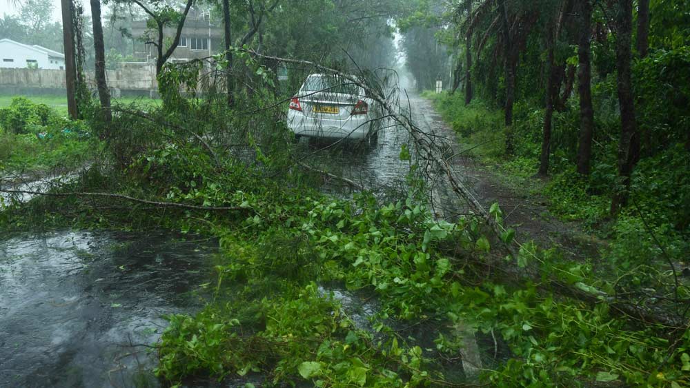 পূর্ব মেদিনীপুরের দিঘাতেও আমপানের ধ্বংসের চিহ্ন ছড়িয়ে। রাস্তার উপর ভেঙে পড়েছে গাছ। কাঁথির বিভিন্ন এলাকাতেও দেখা গিয়েছে ধ্বংসের ছবি।