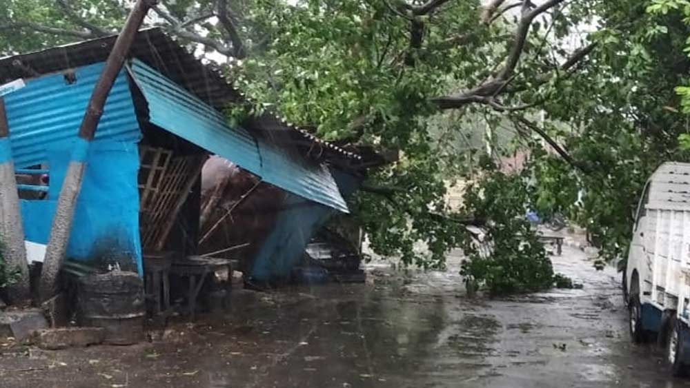 ঝড়ের দাপটে ত্রস্ত কলকাতাও। শহরের বুকেও ছড়িয়ে আমপানের ধ্বংসের চিহ্ন।