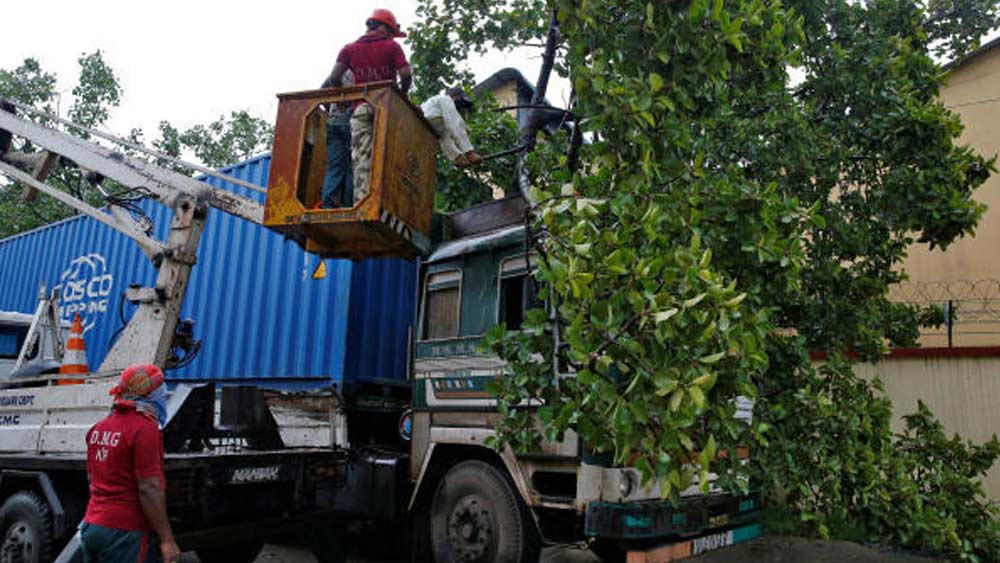 ঝড়ের দাপটে কলকাতার রাস্তার উপর ভেঙে পড়েছে গাছ। তা সরাতে নামানো হয়েছে ক্রেন।