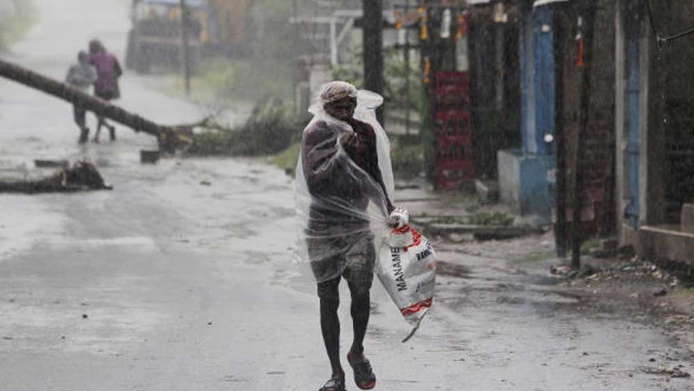 ভদ্রকের একাধিক এলাকায় আমপানের দাপটে রাস্তায় ভেঙে পড়েছে গাছ।