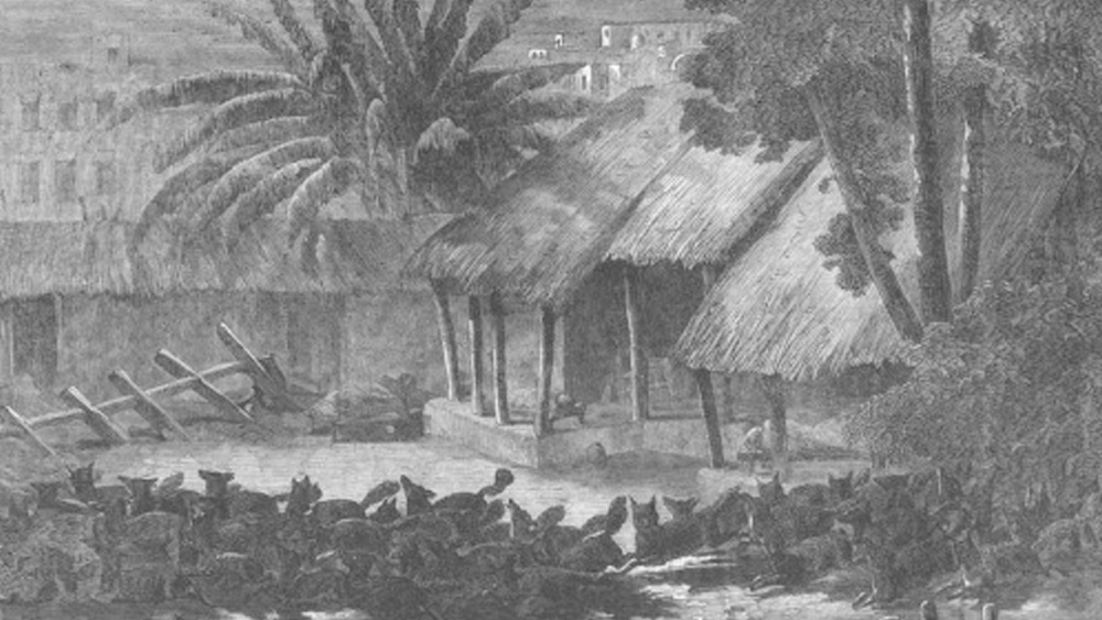 আজ যেখানে মহাকরণ, সেখানে ছিল সেন্ট অ্যানের গির্জা। ইংরেজদের তৈরি সেই আদি উপাসনাস্থল চুরমার হয়ে ভেঙে পড়েছিল। কয়েক টুকরো হয়ে গিয়েছিল কুমোরটুলির গোবিন্দরামের মন্দিরের মূল পঞ্চরত্ন চূড়া। দাপুটে গোবিন্দরাম ছিলেন সে কালের এক ধনকুবের। তার তৈরি মন্দিরের আর এক নাম ছিল ‘ব্ল্যাক প্যাগোডা’। শোনা যায়, উচ্চতায় তা ছিল অক্টারলোনি সৌধের থেকেও দীর্ঘ।